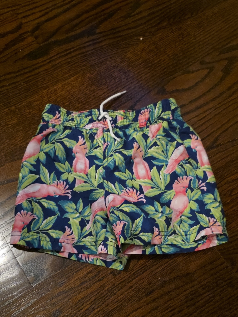 Janie and Jack Navy Swim Trunks with Pink Parrots and Green Leaves